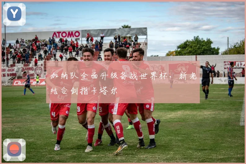 加纳队全面升级备战世界杯，新老结合剑指卡塔尔