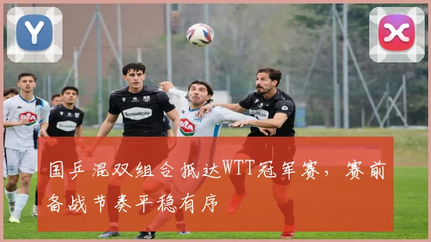 国乒混双组合抵达WTT冠军赛，赛前备战节奏平稳有序