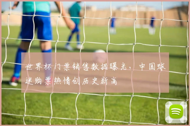 世界杯门票销售数据曝光,中国球迷购票热情创历史新高