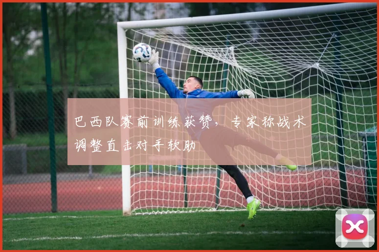 巴西队赛前训练获赞,专家称战术调整直击对手软肋